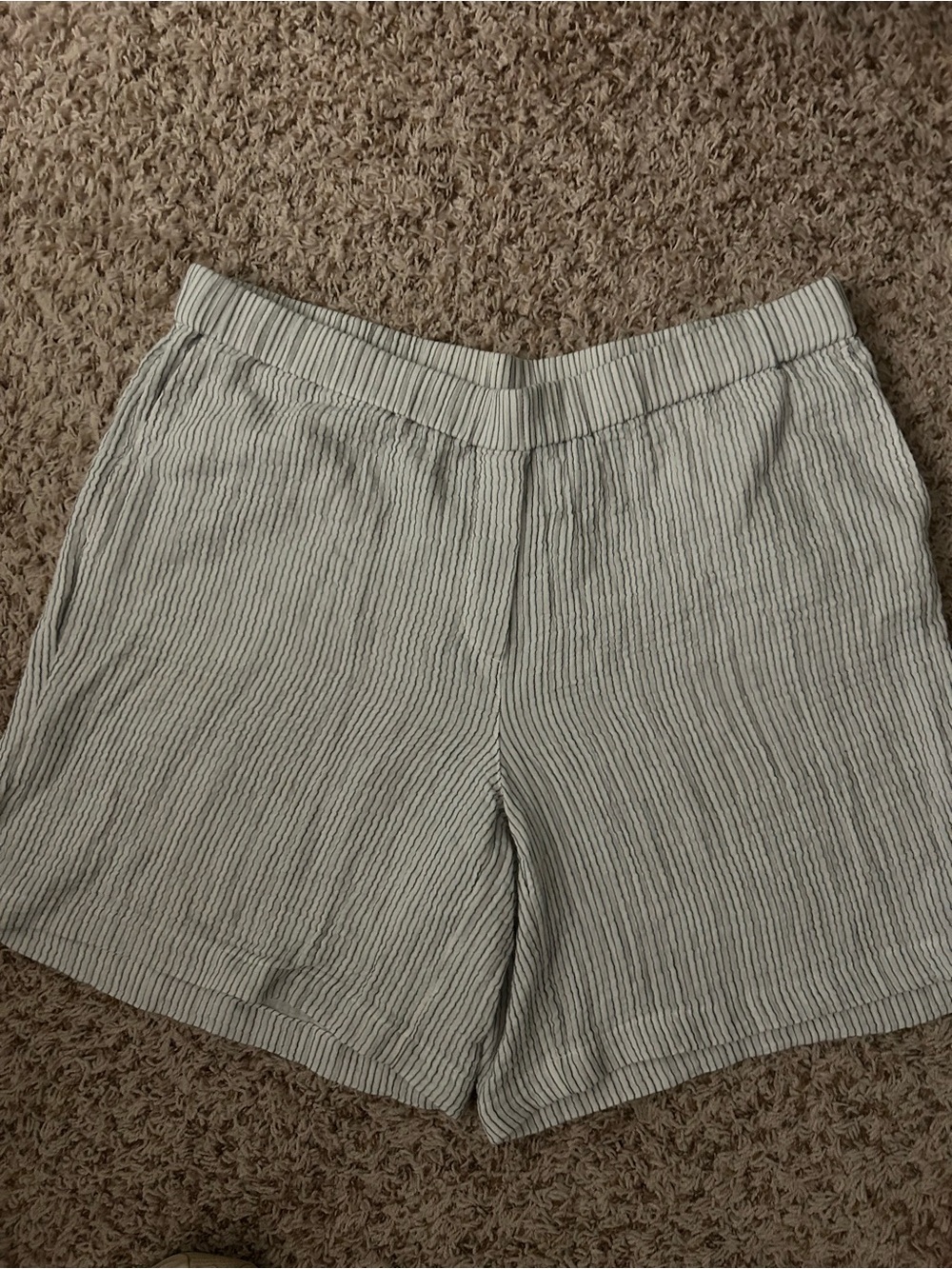 J Jill XL Blue Pinstripe 100% Cotton Shorts